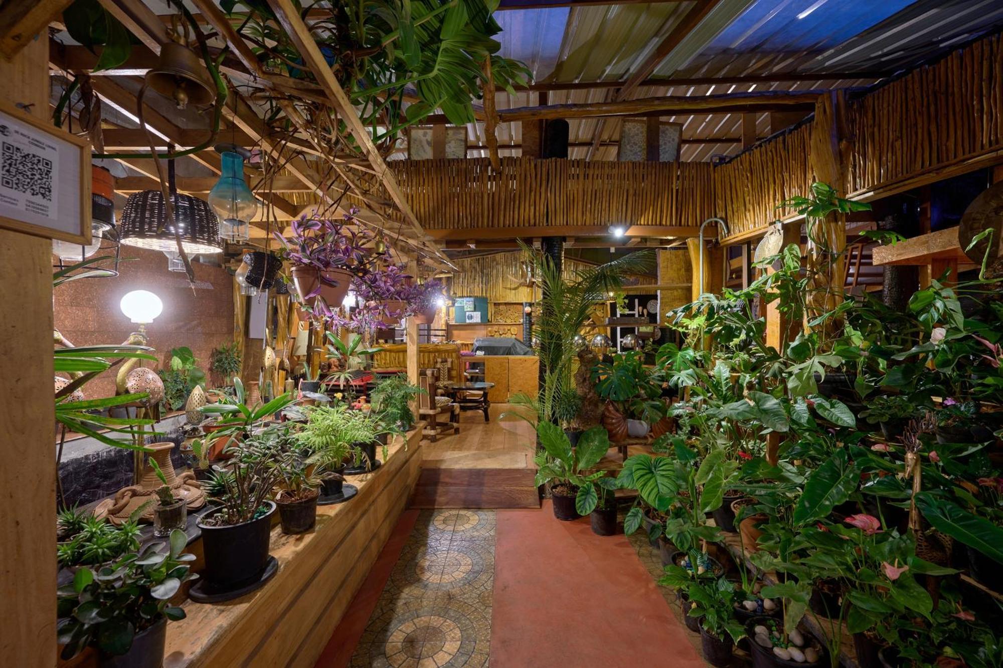 De Rock Jungle Living Resort 乔奥诺奥尔 外观 照片